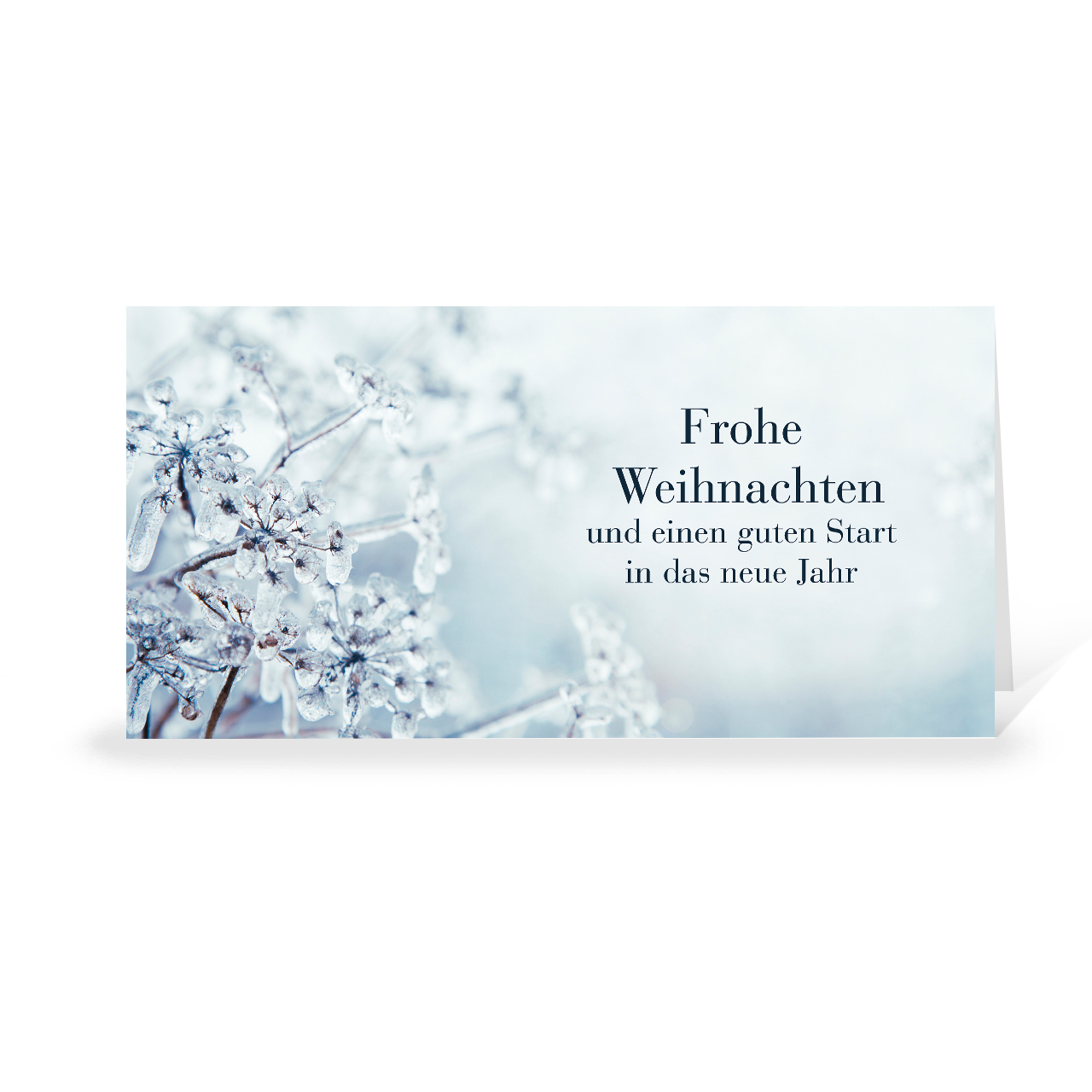 Karte: Eisblume