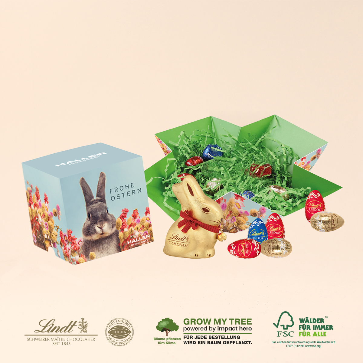 Osterpräsent Cube mit Schokolade von Lindt