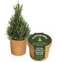 montage_christbaum_2023_Baum_95442