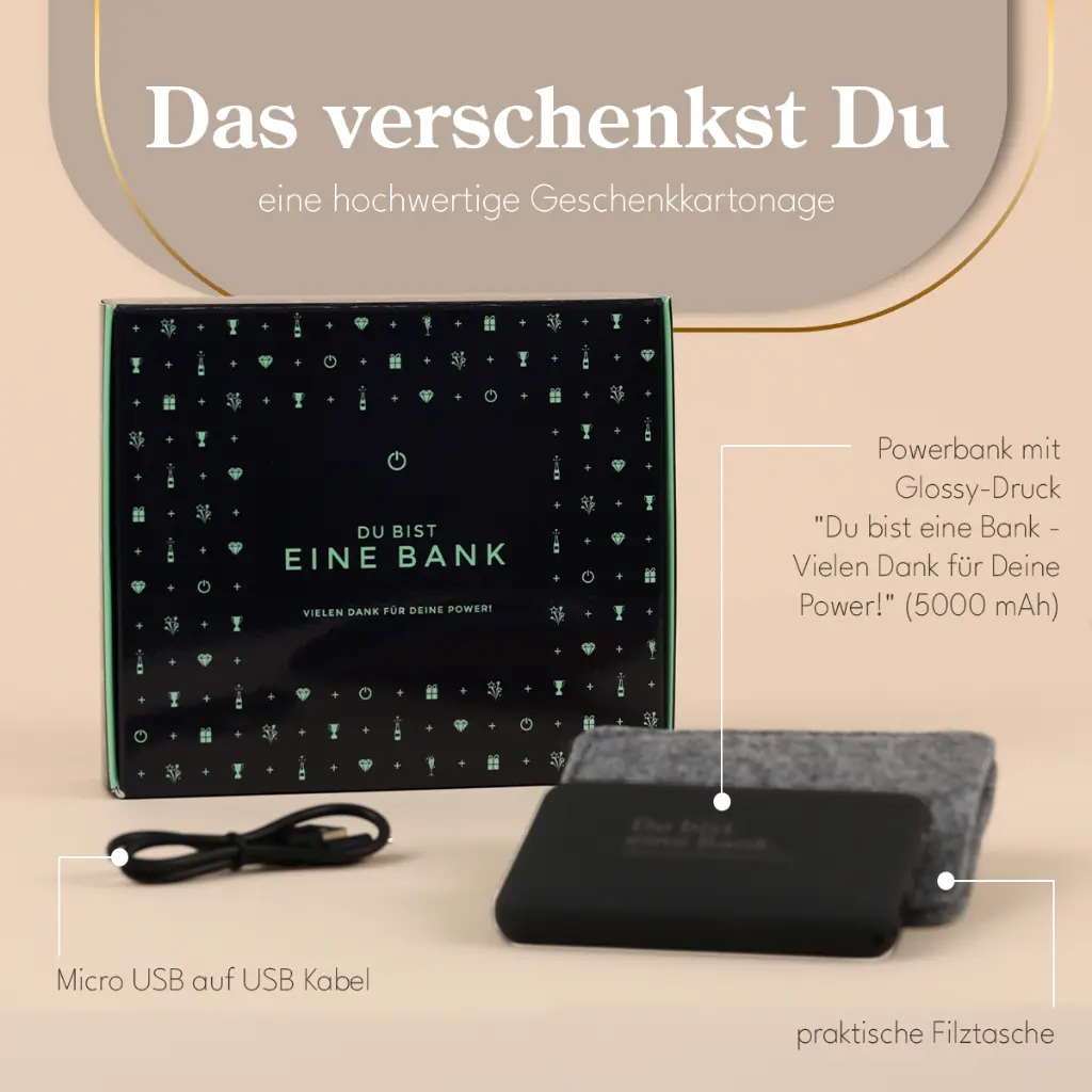 montage_eine-bank_einleger_DU_38997