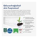55352_Adventskalender_mit_Ritter_SPORT_Schokowuerfel_Inlay_aus_Papierfaser_4_W_78204