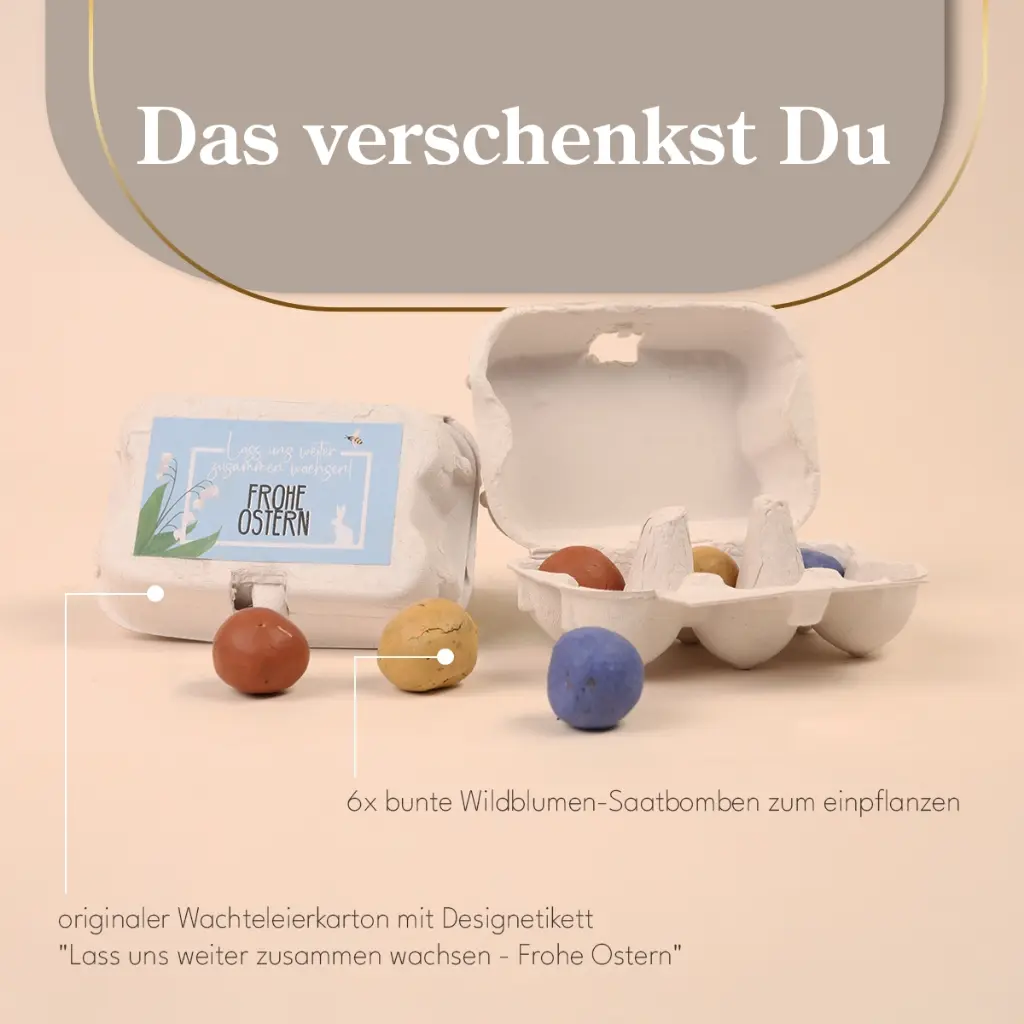 WP13153_freisteller_2