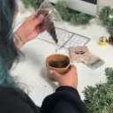 Pflanzset "Dein eigener Christbaum"