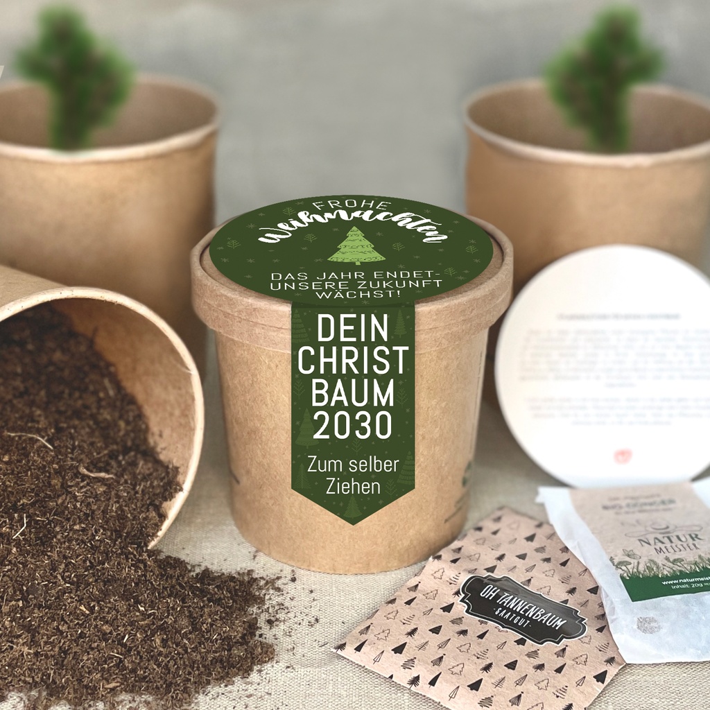 Pflanzset "Dein eigener Christbaum"