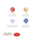 Stern Adventskalender Lindt