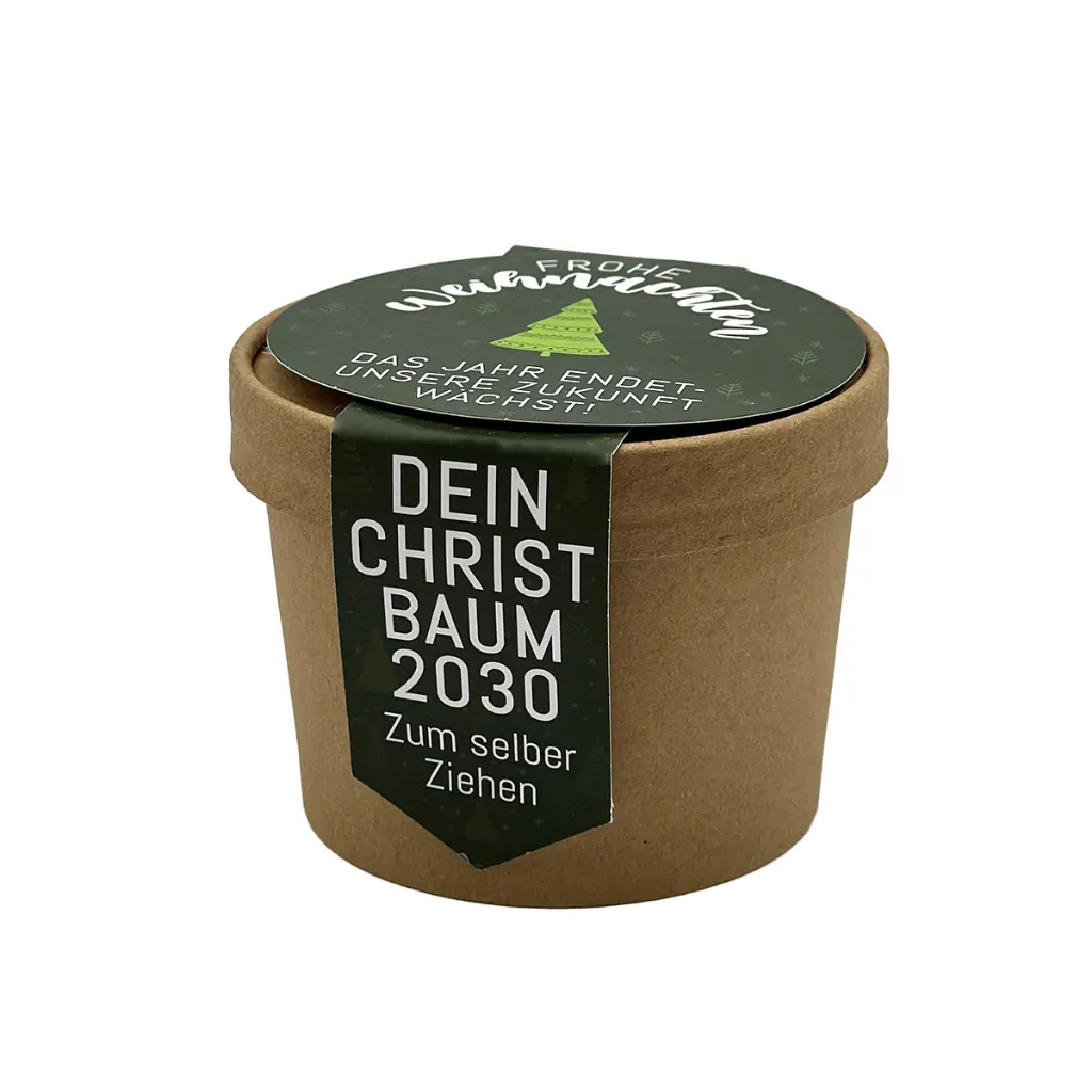 Pflanzset "Dein eigener Christbaum"