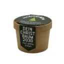 Pflanzset "Dein eigener Christbaum"