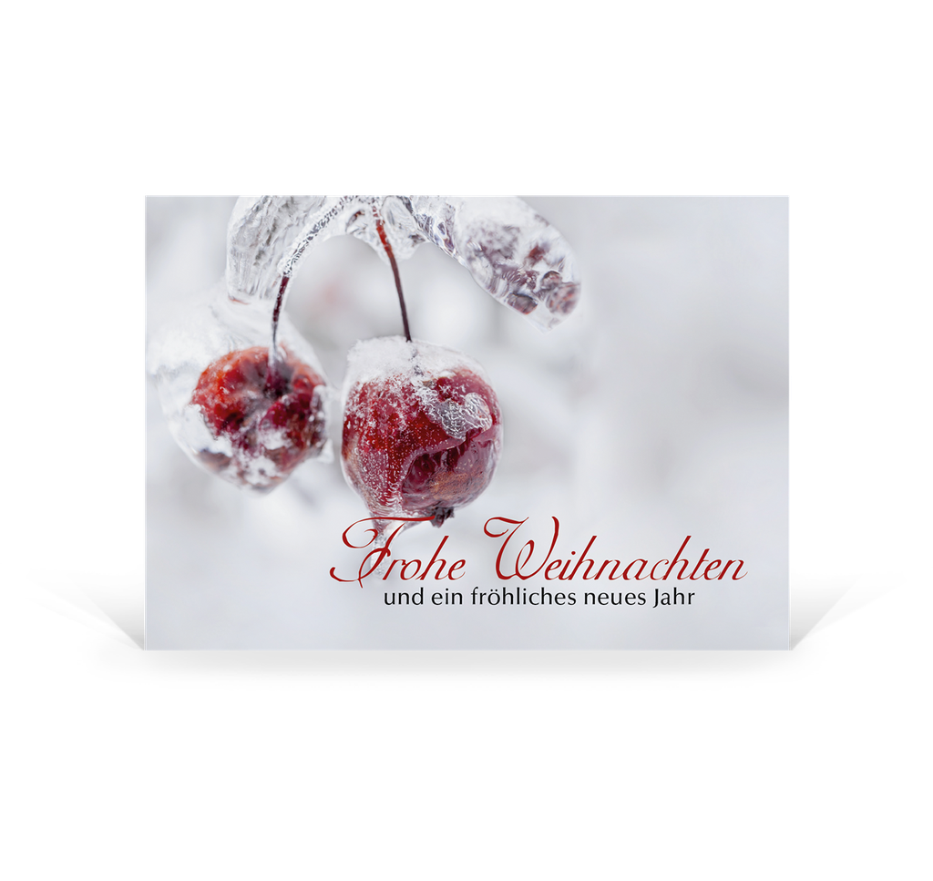 Karte: Postkarte Eiskalter Zauber - Vogelbeeren