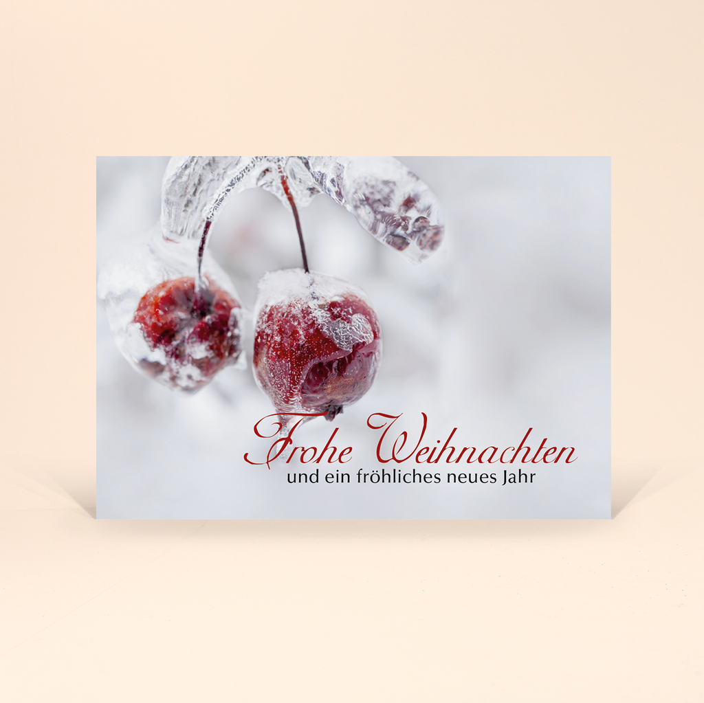 Karte: Postkarte Eiskalter Zauber - Vogelbeeren