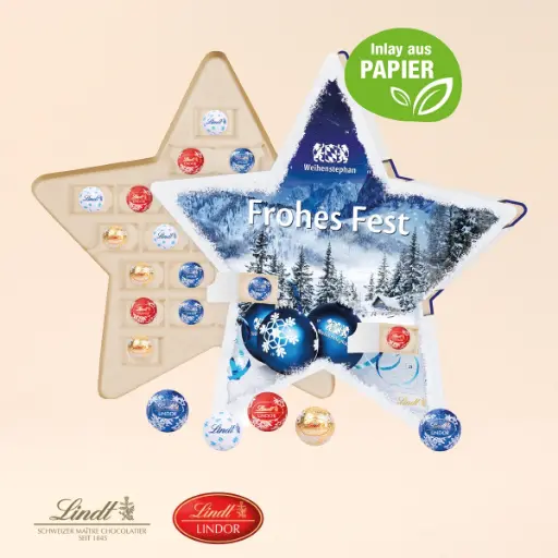 [55377] Stern Adventskalender Lindt