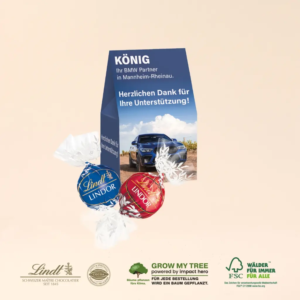 Werbepräsent "Selection Mini" mit Lindt Lindor Pralinés