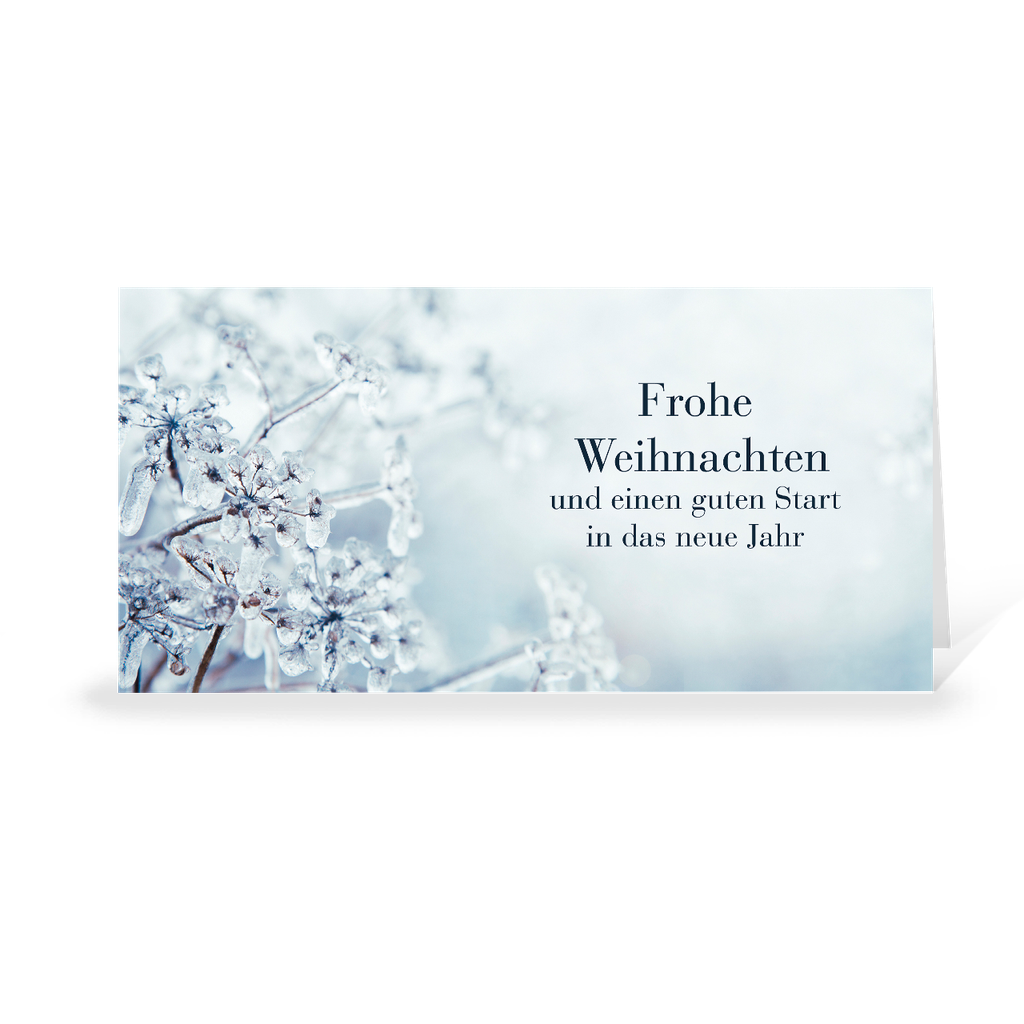 Karte: Eisblume