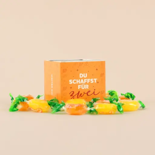 [WP13097] Du schaffst für zwei - Nimm2