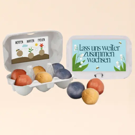 [WP13169] Zusammen wachsen - Saatbomben Sixpack