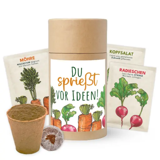 [WP13519] Gemüsegarten "Du sprießt vor Ideen!"