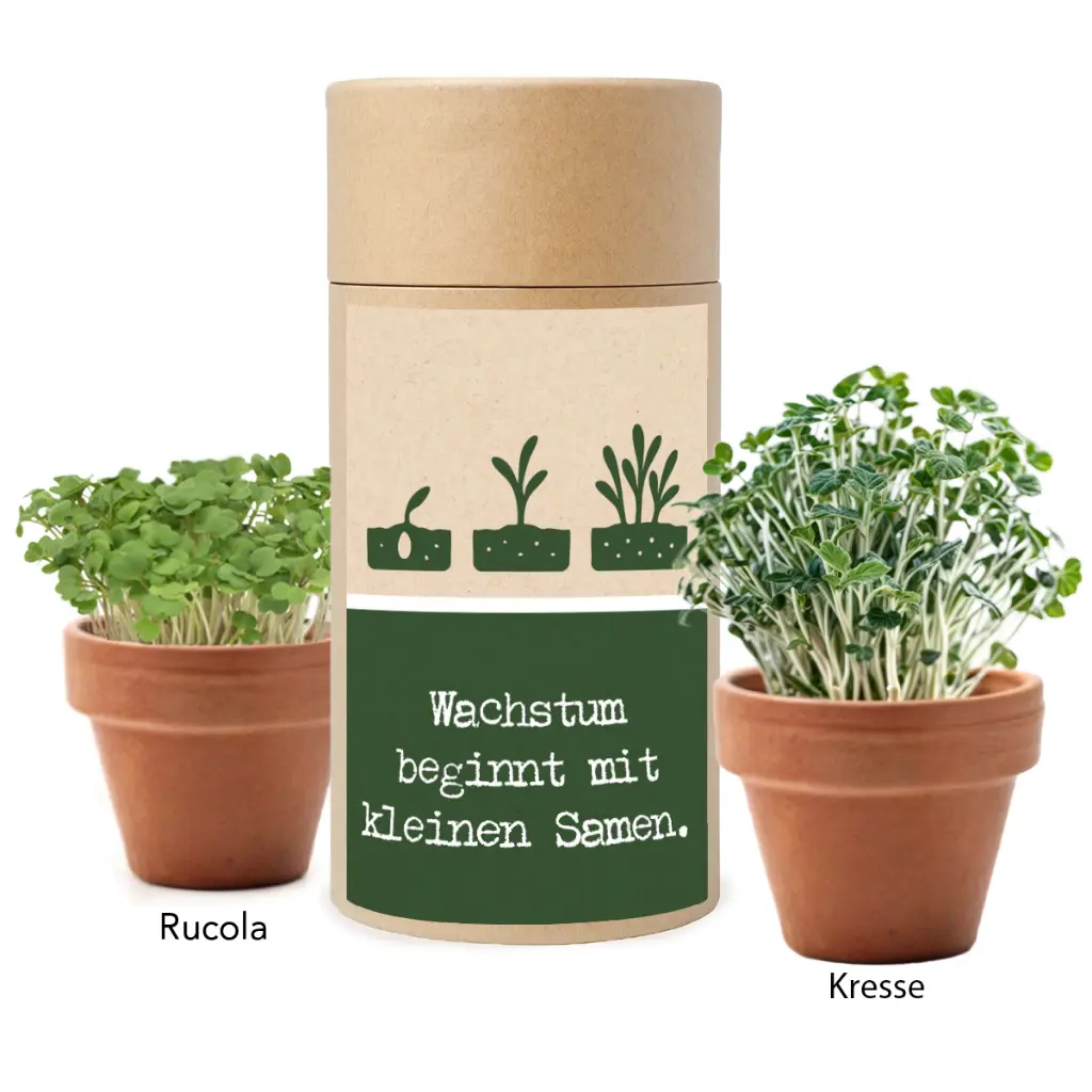 Anzuchtset "Wachstum" - Rucola & Kresse