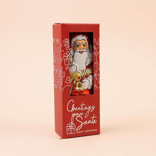 [WP13579] Schokoweihnachtsmann "Greetings from Santa" - 125 g Lindt