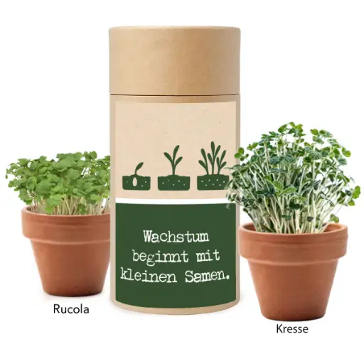[WP13541] Anzuchtset "Wachstum" - Rucola & Kresse